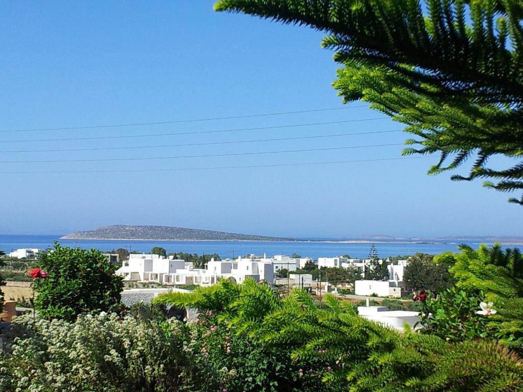 Narkissos Studios Αλυκή Δωμάτιο φωτογραφία